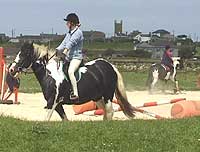 Pony Trekking